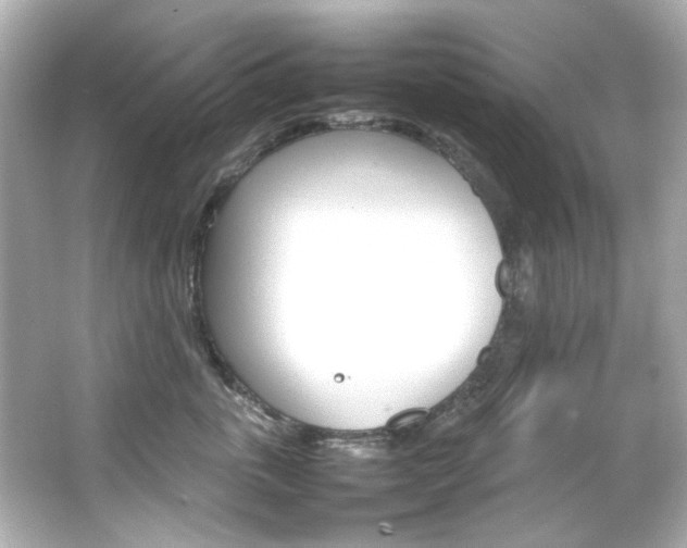 X0000066540763200603201425