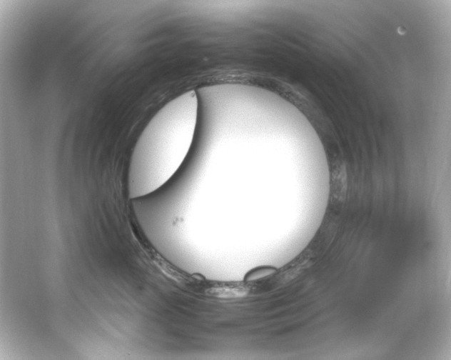 X0000066540765200603201425