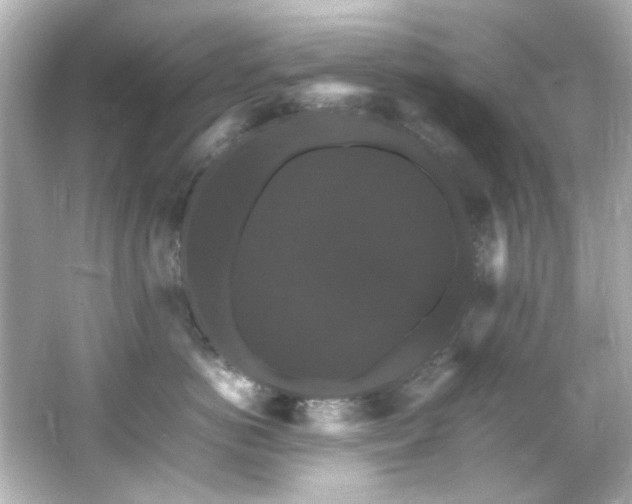 X0000066540766200603201425