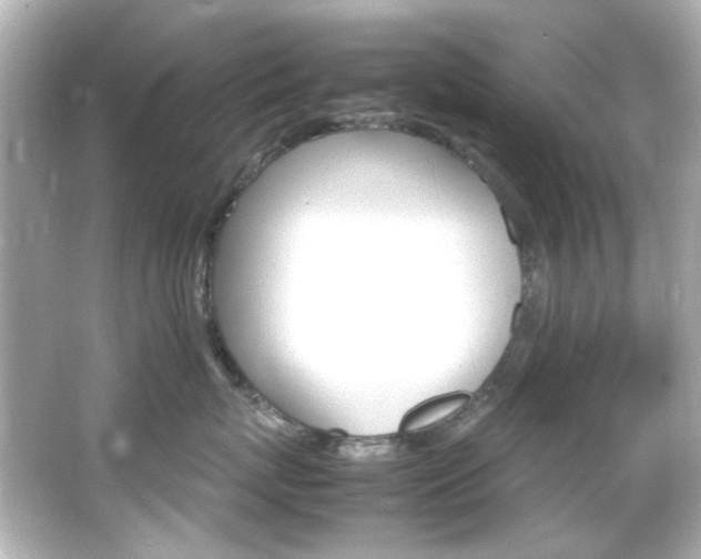 X0000066540767200603201425