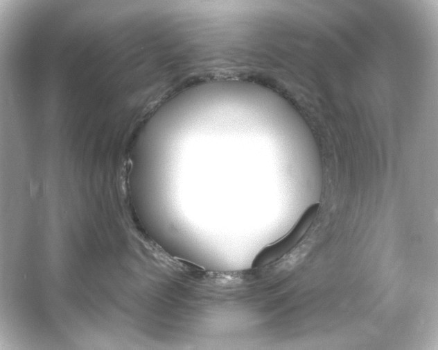 X0000066540768200603201426