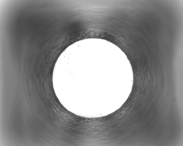 X0000066540769200603201425