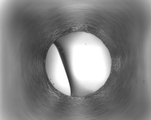 X0000066540770200603201425