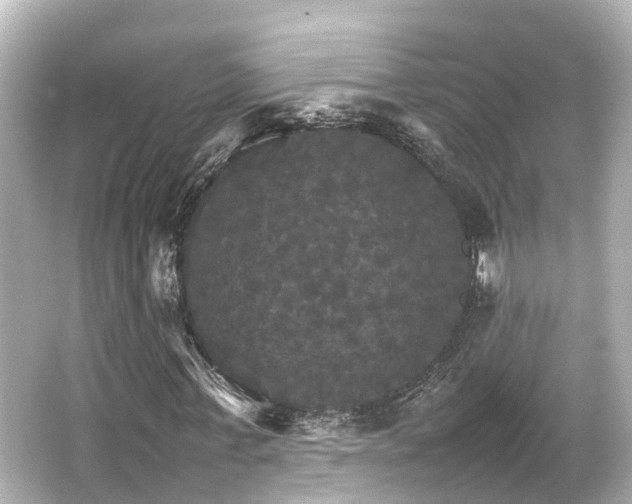 X0000066540771200603201425