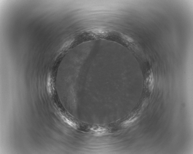 X0000066540772200603201425