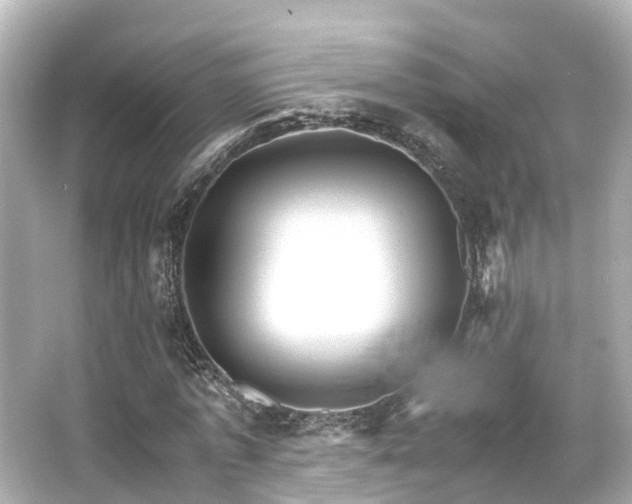 X0000066540773200603201425