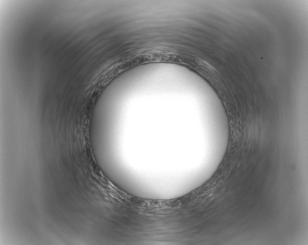 X0000066540774200603201425