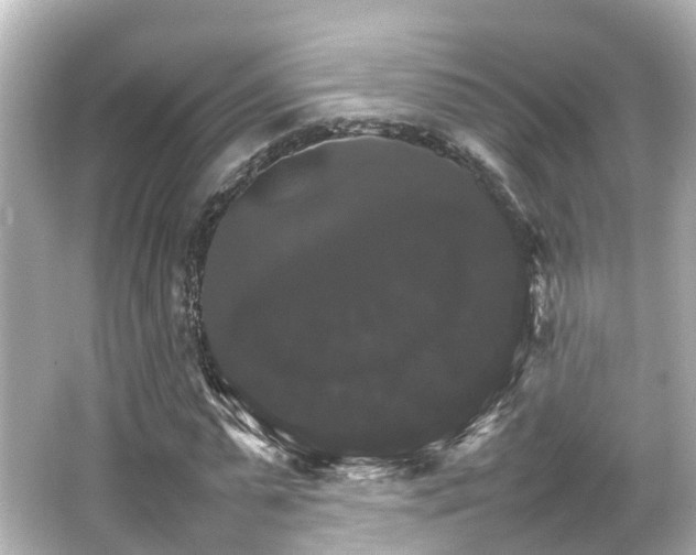 X0000066540775200603201425