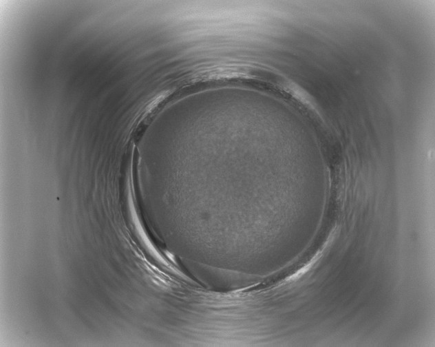 X0000066540777200603201425