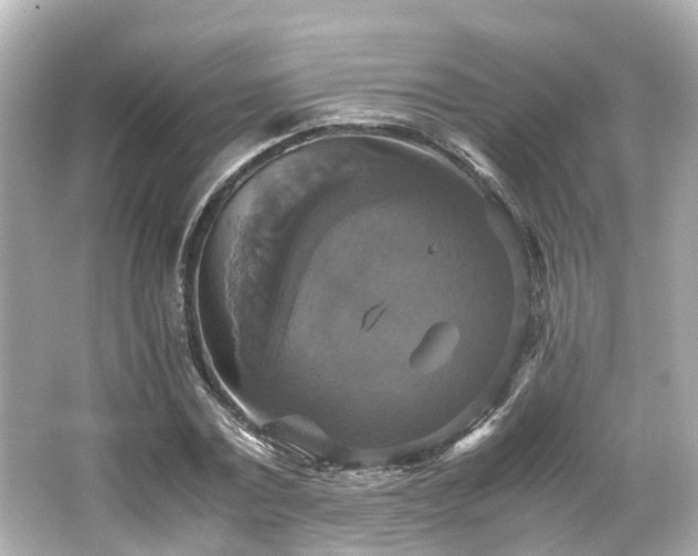 X0000066540779200603201425