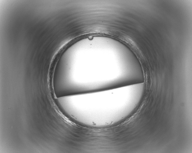 X0000066540780200603201425