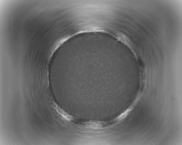 X0000066540781200603201424