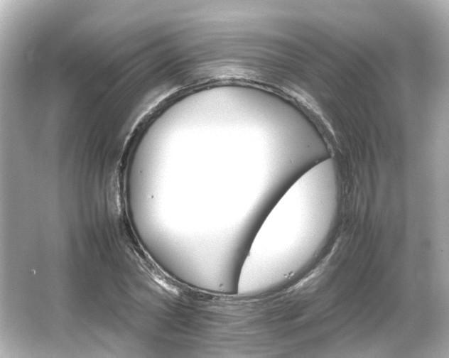 X0000066540782200603201424