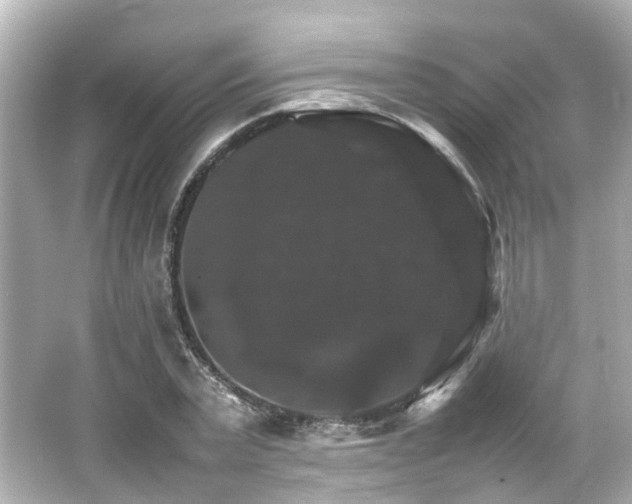 X0000066540783200603201424