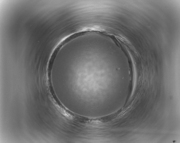 X0000066540784200603201424