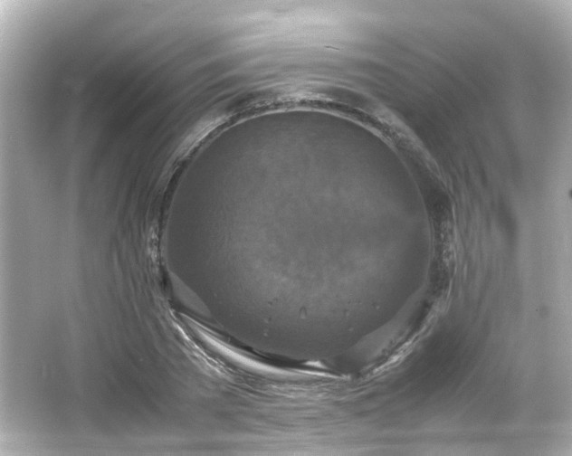 X0000066540785200603201424