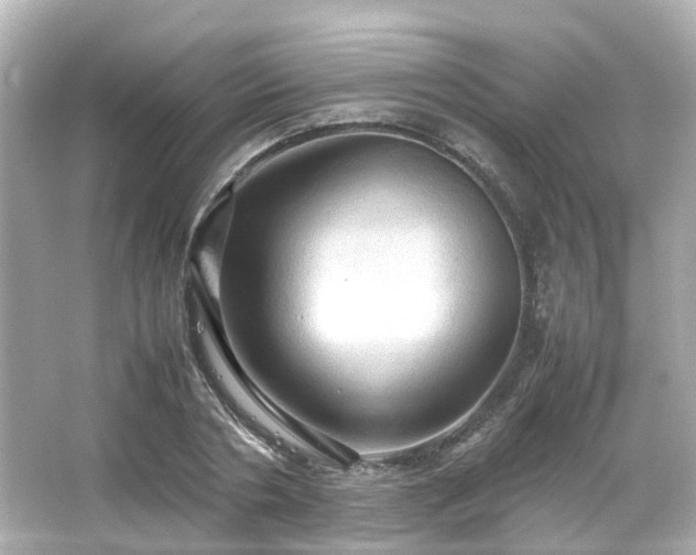 X0000066540786200603201424