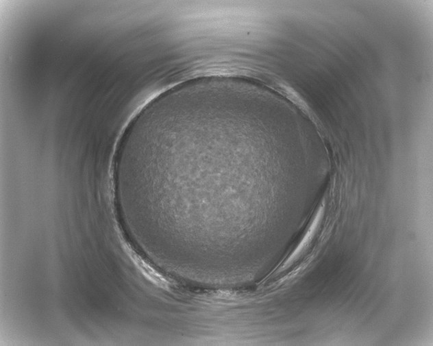 X0000066540787200603201424