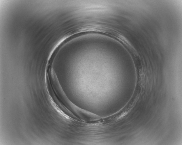 X0000066540788200603201424