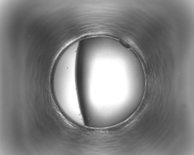 X0000066540789200603201424