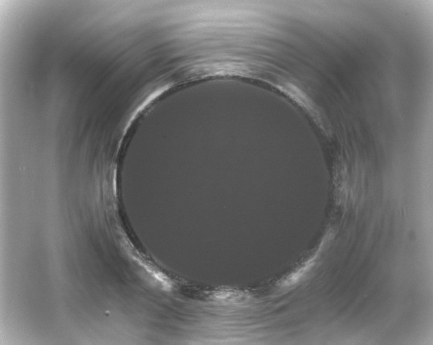 X0000066540790200603201424