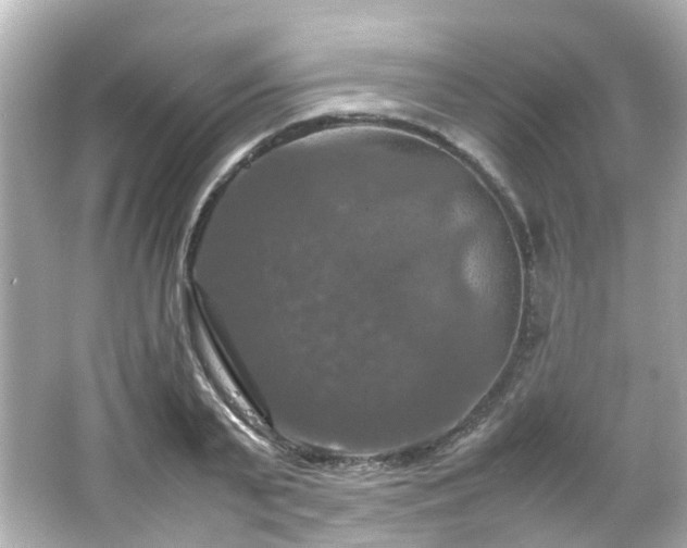 X0000066540791200603201424