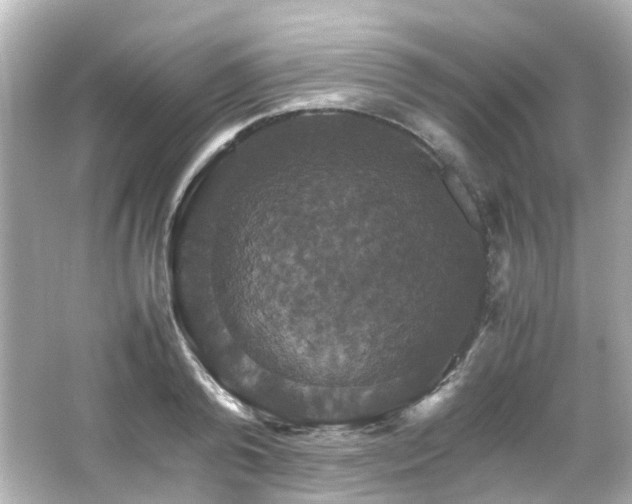 X0000066540792200603201424