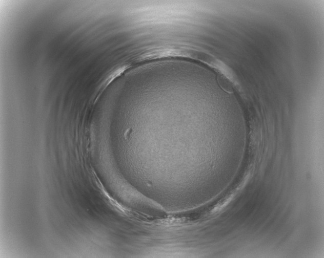 X0000066540793200603201424