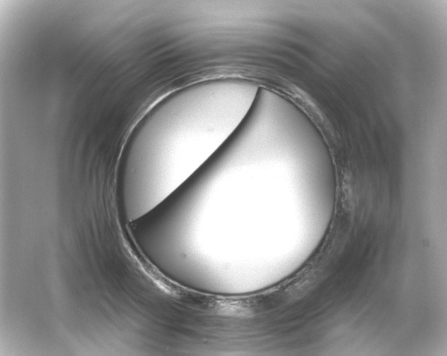 X0000066540794200603201424