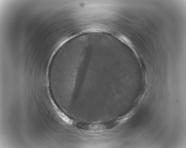 X0000066540795200603201424