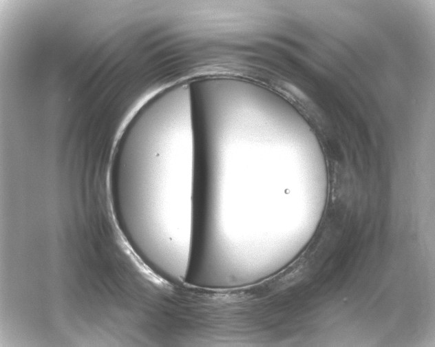 X0000066540796200603201424