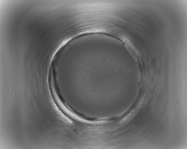 X0000066540797200603201424