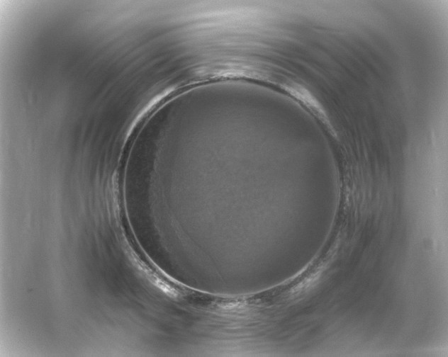 X0000066540798200603201424