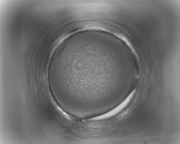 X0000066540799200603201424