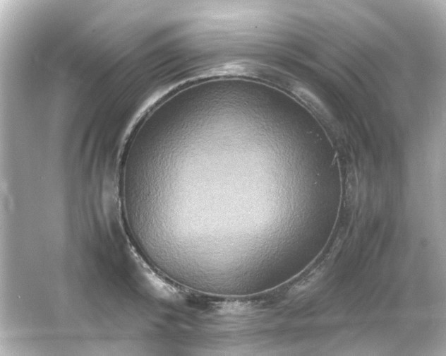 X0000066540800200603201424