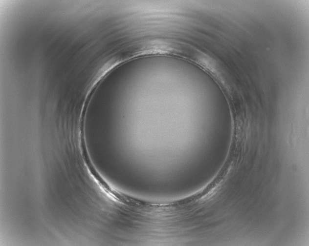 X0000066540802200603201424