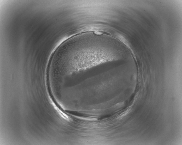 X0000066540803200603201424