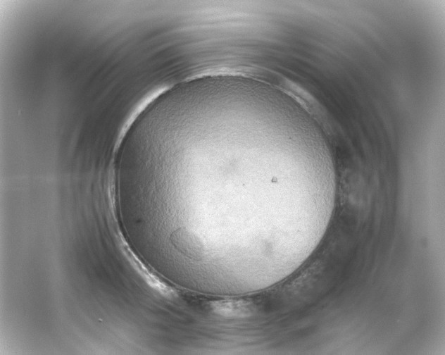 X0000066540804200603201424