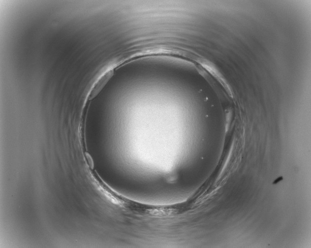 X0000066540805200603201424