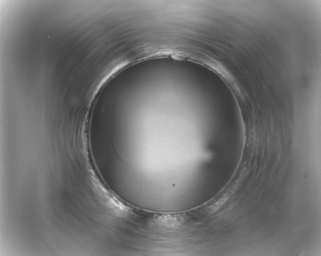 X0000066540806200603201424