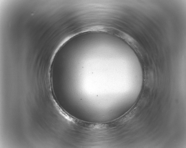 X0000066540808200603201424