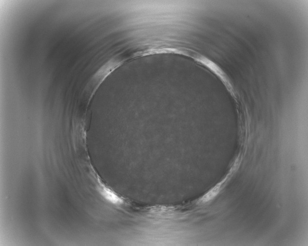 X0000066540809200603201424