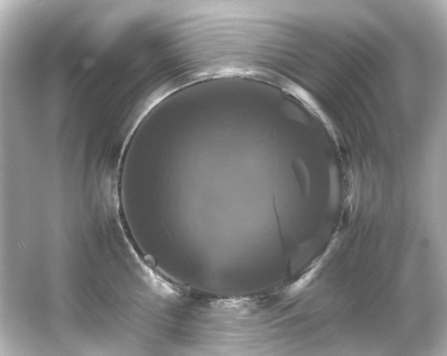 X0000066540810200603201424