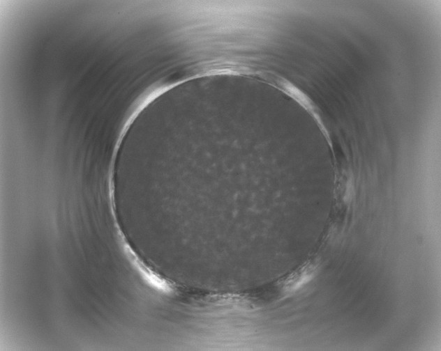 X0000066540811200603201424