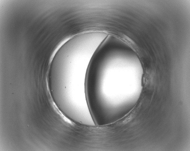 X0000066540812200603201424