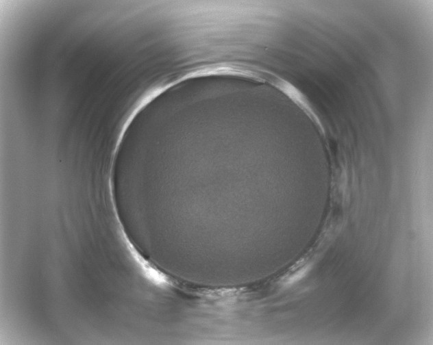 X0000066540813200603201424