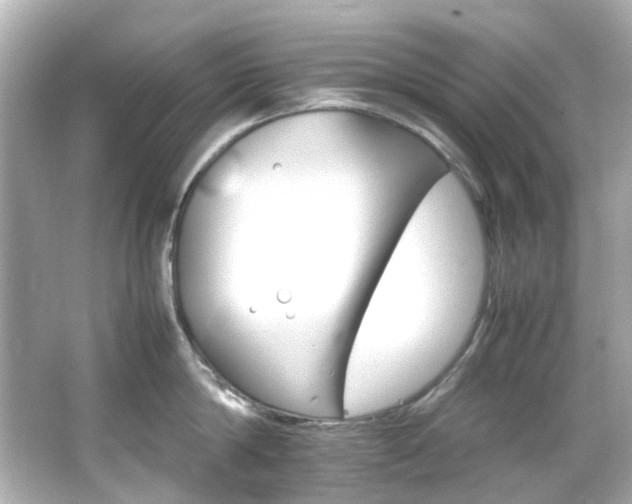 X0000066540814200603201424