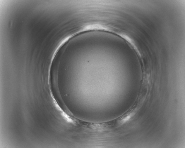 X0000066540815200603201424