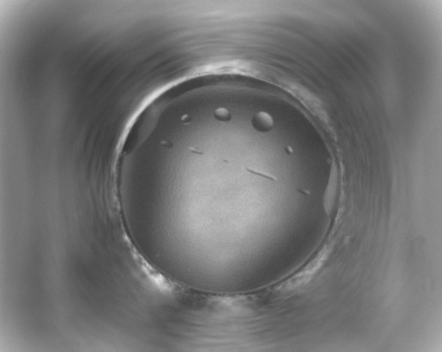 X0000066540816200603201424