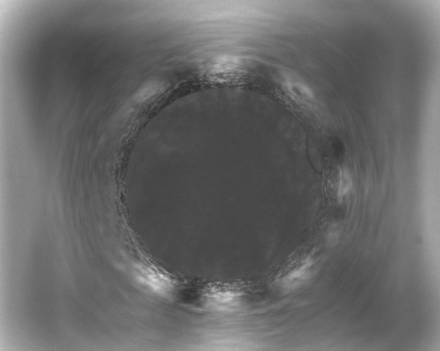 X0000066540817200603201423